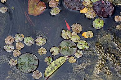 《寂静岭》制作人称本系列将全面复活 不只是游戏